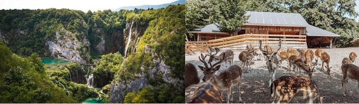 OŠ Mate Lovraka, Zagreb - Plitvička jezera i Dolina jelena 1 dan