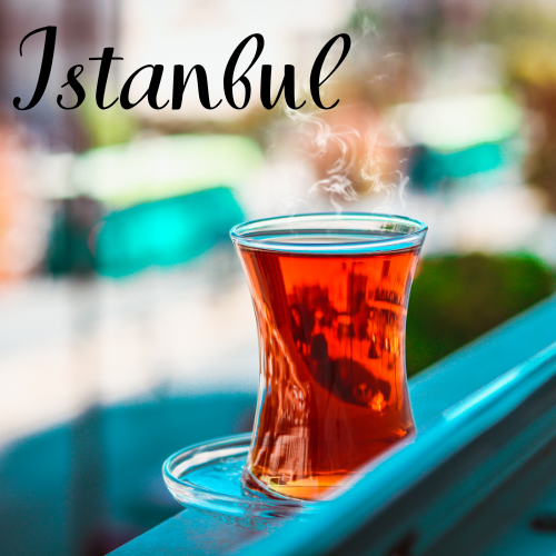 NOVO 2026.Istanbul i Bugarska (7 dana)