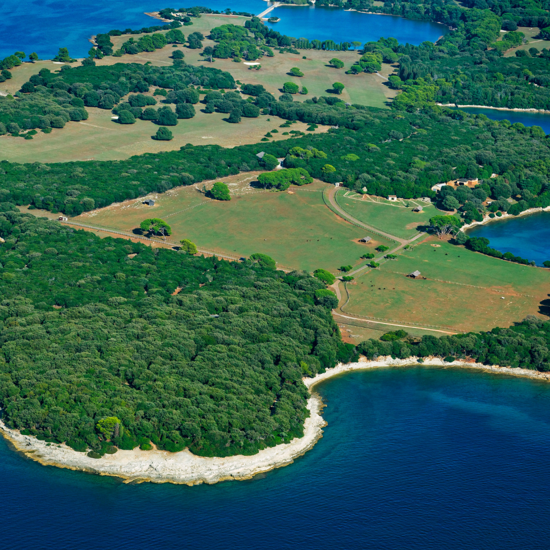 LJETO 2026.: Nacionalni park Brijuni & kupanje u Fažani (1 dan)