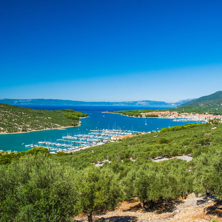 Cres i Mali Lošinj : razgled & kupanje na Čikatu
