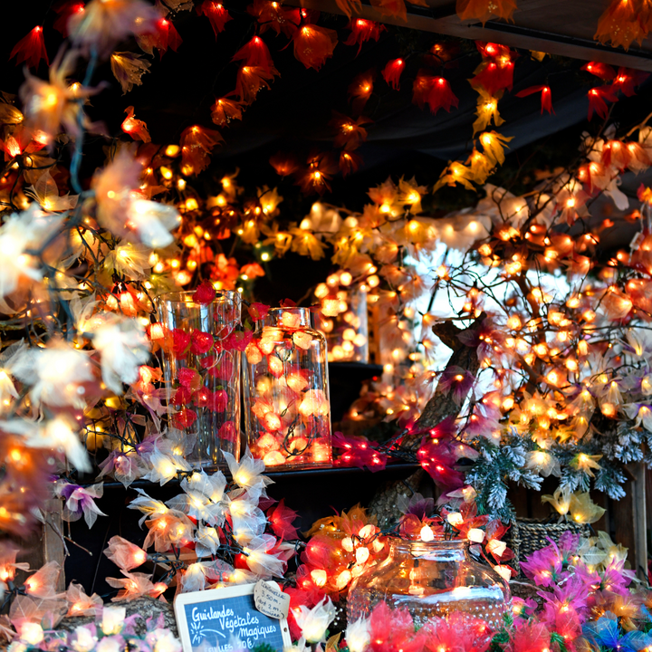 Advent 2026.: Strasbourg, Colmar, Munchen, Ludwigsburg iz Zagreba i Karlovca (4 dana)