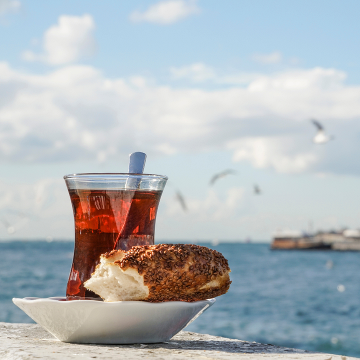 Istanbul advent 4 dana s avionom iz Dalmacije