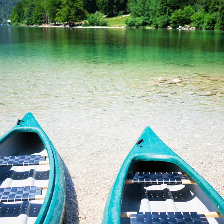 Bled & Bohinj iz Zagreba