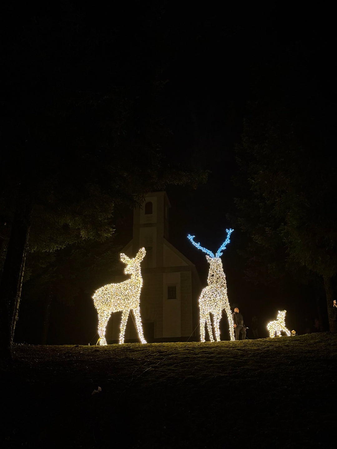 Adventska bajka u Budimpešti, Varaždinu i dvorcu Trakošćan (3 dana)